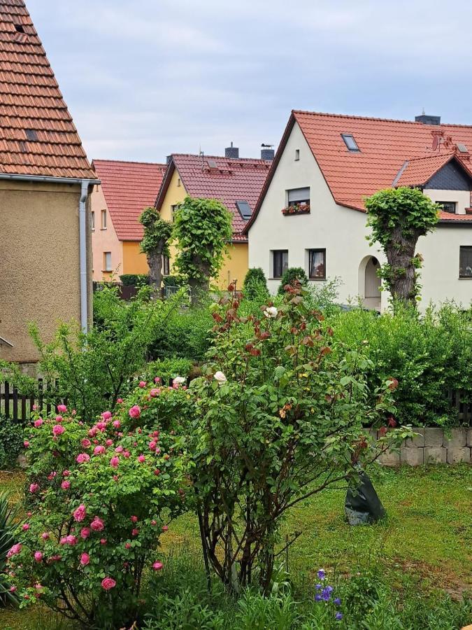 Ferienwohnung Rosengarten Балленштедт Экстерьер фото